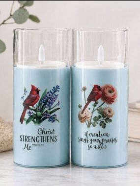 Set of 2 Light Blue Cardinal Floral LED Candle Lanterns